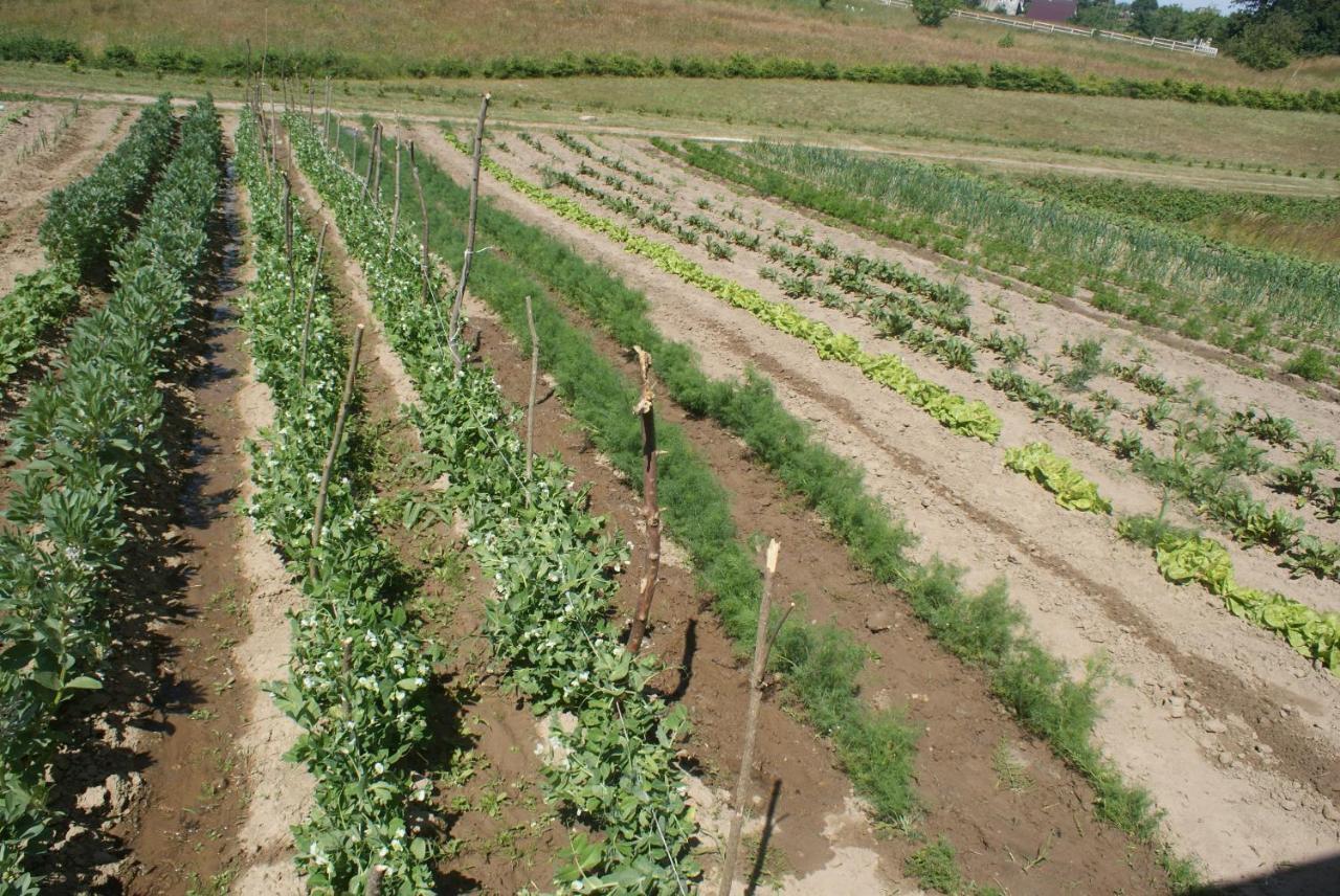 Agrodomki Okej -Dom Koko Gardna Wielka Zewnętrze zdjęcie